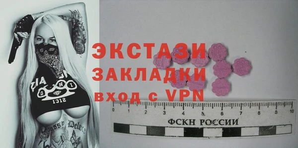 ешки Алексин