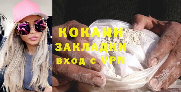 ешки Алексин