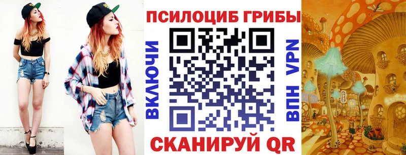 ссылка на мегу зеркало Карачаевск Псилоцибиновые грибы прущие грибы