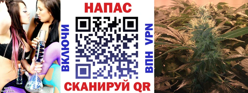 Марихуана индика  Карачаевск 